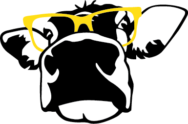 Madville's cow mascot, Beula Fay. She's a black and white Guernsey cow wearing a of giant yellow sunglasses.