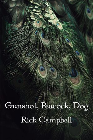 Gunshot, Peacock, Dog--poetry by Rick Campbell