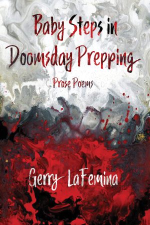 Baby Steps in Doomsday Prepping by Gerry LaFemina cover