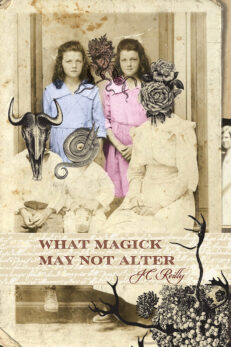 What Magick May Not Alter by JC Reilly shows antique post card with twin girls in a family photo. But it's an odd family photo and all the relatives in the picture have their faces overlaid with spooky pen and ink creatures.