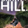 Gravity Hill by Susanne Davis shows a world turned upside down with a pickup truck falling off the road that has swapped places with the sky.