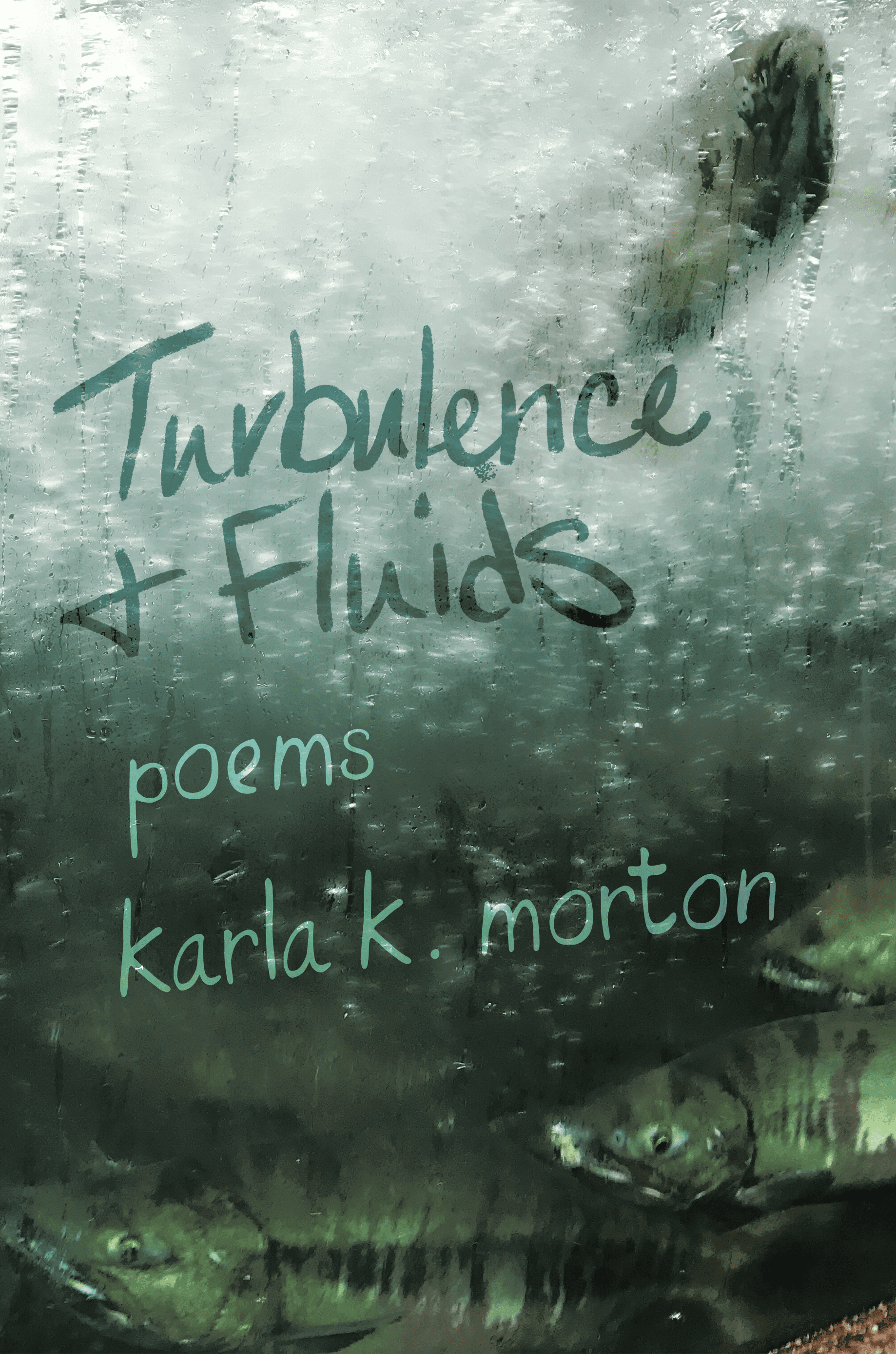 Turbulence &amp; Fluids poems by karla k. morton. image is of fish behind frosty green glass in turbulent bubble filled water. The text is written in the frost on the glass.