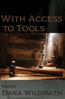With Access to Tools: Poems by Dana Wildsmith. Image shows old handtools in a shaft of light in an old barn. the colors are browns and golds.