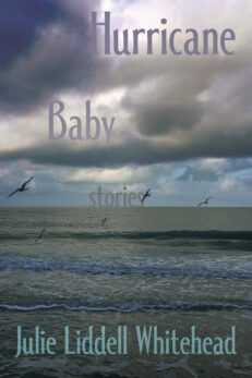 Hurricane Baby: Stories by Julie Liddell Whitehead. Cover shows a strangely beautiful stormy sky over the ocean with sea birds flying between clouds and sea.