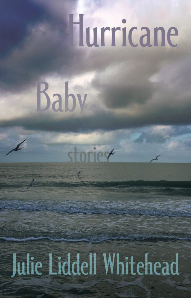 Hurricane Baby: Stories by Julie Liddell Whitehead. Cover shows a strangely beautiful stormy sky over the ocean with sea birds flying between clouds and sea.