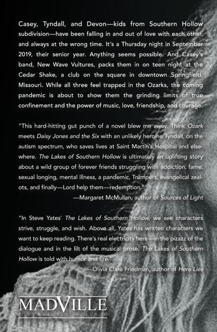 back cover of The Lakes of Southern Hollow shows a portion of a woman's face. The text is the same as what is duplicated on this webpage.