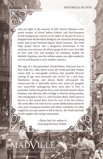 Back cover of My Youth and Early Deaths, a historical novel by Allen Stein. The background shows an 1890s street scene in an old photograph of Mulberry Street. The text is set in on a white box with decorative edges, like a doily.