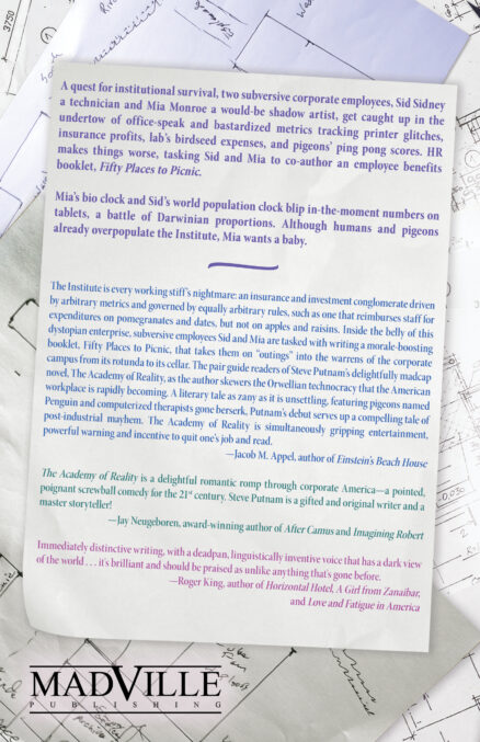 Back cover for THE ACADEMY OF REALITY with blurbs. Same as website text.