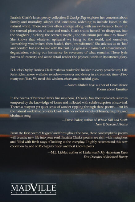 Back cover of O Lucky Day: Poems by Patricia Clark. The blurbs are the same as those on this webpage.