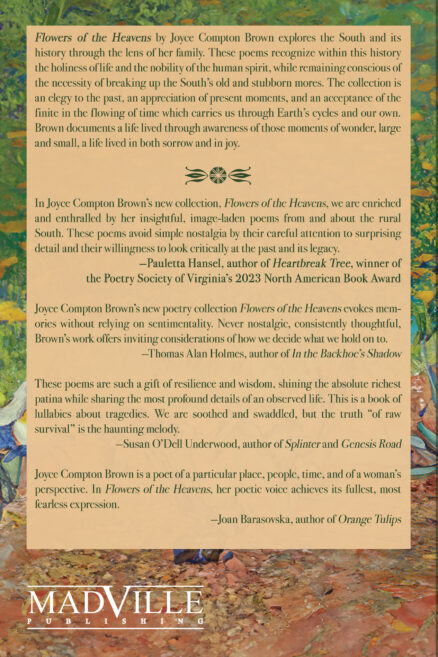 Back cover for Flowers of the Heavens. It has the book synopsis and blurbs. And it has Madville's logo.