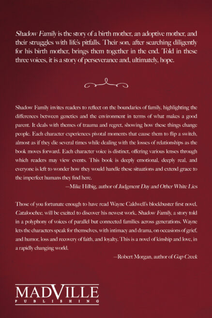 Back cover of Shadow Family by Wayne Caldwell. It is beige text on a burgandy background. The synopsis and blurbs echoe what's already on this web page.