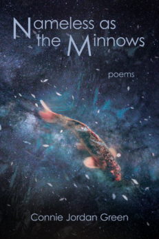 Nameless as the minnows by Connie Jordan Green shows a multicolored Koi flish swimming across a star-filled sky