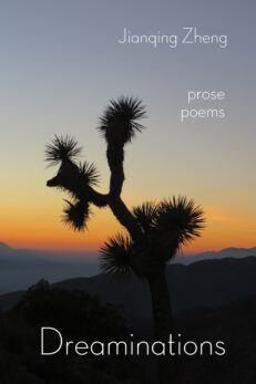 Dreaminations: Prose Poems by Jianqing Zheng. Light modern font is overlaid in white over a photograph of a Joshua Tree in silhouette against the setting sun. Photo by Jianqing Zheng.