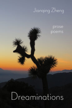 Dreaminations: Prose Poems by Jianqing Zheng. Light modern font is overlaid in white over a photograph of a Joshua Tree in silhouette against the setting sun. Photo by Jianqing Zheng.