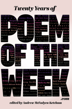 Twenty Years of Poem of the Week edited by Andrew McFadyen-Ketchum front cover. Pale pink background features giant block letters that reveal contributor names in a mix of fonts and colors.