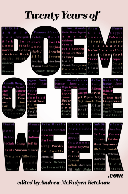 Twenty Years of Poem of the Week edited by Andrew McFadyen-Ketchum front cover. Pale pink background features giant block letters that reveal contributor names in a mix of fonts and colors.
