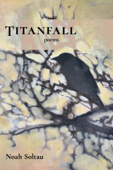 Titanfall: Poems by Noah Soltau. a painting with a black bird on black branches sit on a pale yellow background. Cover art by Sandy Soltau