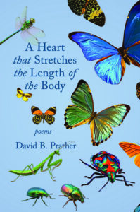 A Heart that Stretches the Length of the Body: Poems by David B. Prather. A pale blue background plays host to a mixed up collection of beautiful insects. The shiniest butterflies and bugs.